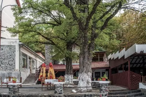 Hotel și restaurant “TREI BRAZI “ Târnăveni, județ Mureș - Transilvania