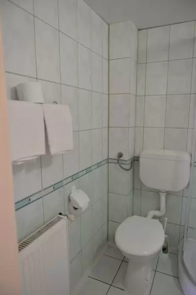 Cameră dublă cu pat matrimonial Motel Vraja Viilor - Motel VRAJA VIILOR, județ Satu Mare - Maramureș